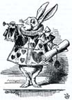 WhiteRabbit