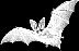 bat