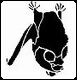 bat