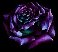 smprose